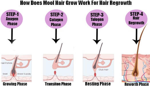 moolhairgrowwork